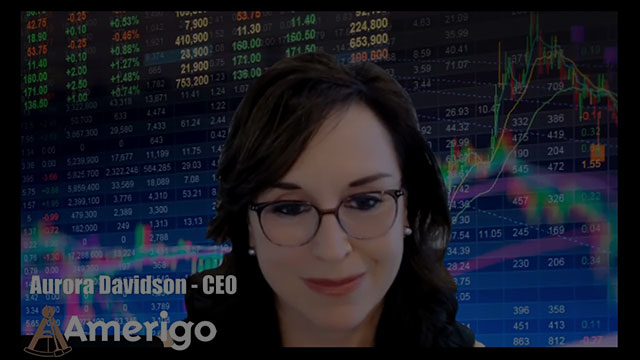 Beyond the Dividend: Understanding Amerigo's Total Yield